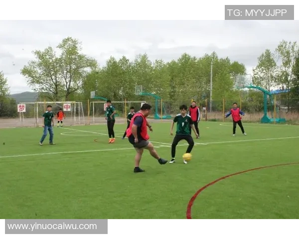 足球场上激情四溢的瞬间与团队合作的力量展现了运动的魅力与人性的光辉